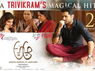 A Aa (2016) Hindi ORG Dubbed 720p HEVC HDRip x265 – 600 MB