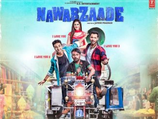 Nawabzaade (2018) Hindi 720p HEVC HDRip x265 – 550 MB