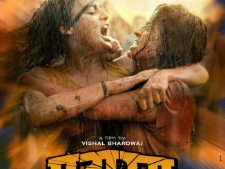 Pataakha (2018) Hindi 1 CD PDVD x264 – 700 MB | 400 MB