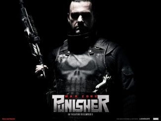 Punisher War Zone (2008) 480p BDRip x264 Dual [Hindi+ Eng] 350MB