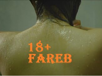 Fareb (A) (2019) Hindi WEB-HDRip x264 200MB