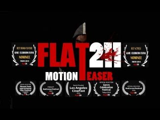 Flat 211 (2017) 720p Hindi WEB-HDRip x264 980MB