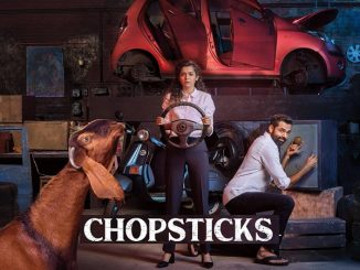 Chopsticks (2019) 480p WEB-HDRip x264 Esubs [Dual Audio] [Hindi – English] – 350MB