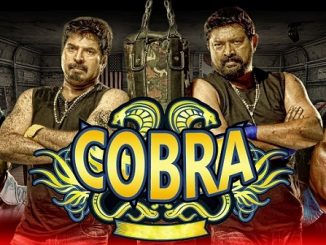 Cobra (2012) Hindi 480p HDRip x264 AAC DD 2.0 – 400 MB
