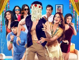 Sallu Ki Shaadi (2017) Hindi 720p HEVC WEB-HDRip x265 AAC DD 2.0 – 500 MB