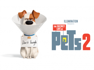The Secret Life of Pets 2 (2019) 720p | 480p HDCAM Dual Audio [Hindi-English] x264 800MB | 250MB