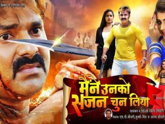 Maine Unko Sajan Chun Liya (2019) Hindi 720p HEVC HDRip x265 AAC DD 2.0 – 700 MB