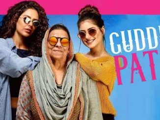 Guddiyan Patole (2019) Punjabi 720p HEVC WEB-HDRip x265 AAC 630MB