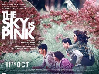 The Sky Is Pink (2019) Hindi 720p HEVC WEB-HDRip x265 AAC 700MB
