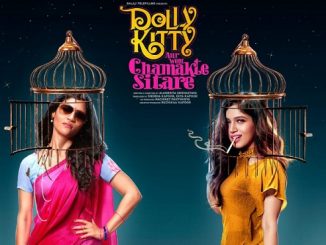 Dolly Kitty Aur Woh Chamakte Sitare (2020) Hindi 720p HEVC WEB-HDRip x265 AAC DD 2.0 Esubs – 650 MB