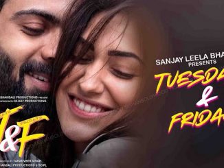 Tuesdays and Fridays (2021) 720p | 480p WEB-HDRip Hindi (DD 5.1) x264 700MB | 400MB