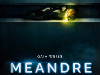 Meander (2020) English 720p | 480p WEB-HDRip x264 AAC DD 2.0 Esubs – 700 MB | 350 MB