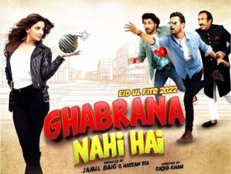 Ghabrana Nahi Hai (2022) Urdu 720p HEVC WEB-HDRip x265 AAC DD 2.0 – 800 MB