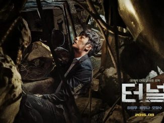 Tunnel (2016) 720p HEVC BluRay x265 Esubs [Dual Audio] [Hindi ORG – Korean] – 650 MB